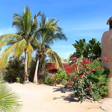 Flora Del Mar Hotell Todos Santos Exteriör bild