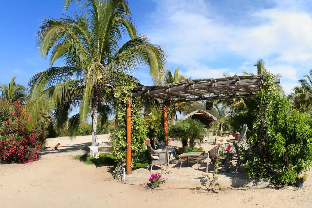 Flora Del Mar Hotell Todos Santos Exteriör bild