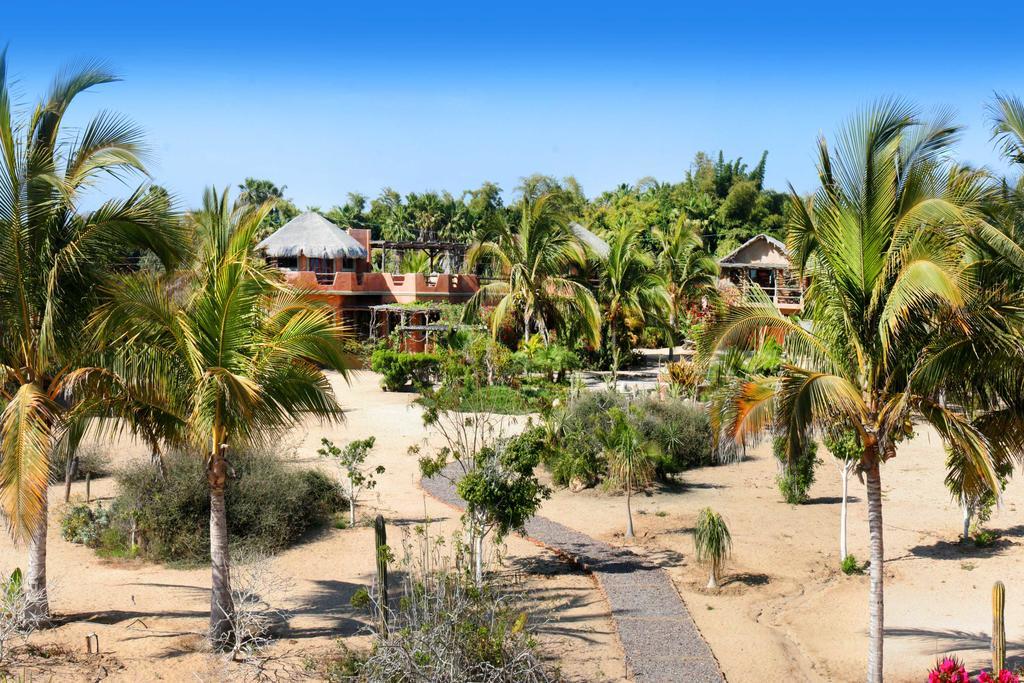 Flora Del Mar Hotell Todos Santos Exteriör bild